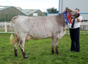 Reserve_Lisnamulligan_Whitetail_2_Royal_Highland_2011